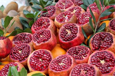 Punica granatum - انار